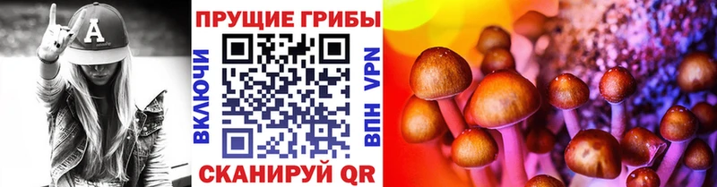 Галлюциногенные грибы GOLDEN TEACHER  где можно купить наркотик  Колпашево 